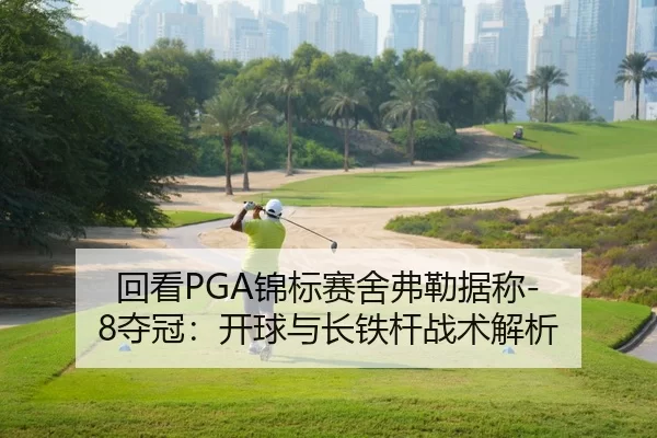 回看PGA锦标赛舍弗勒据称-8夺冠：开球与长铁杆战术解析